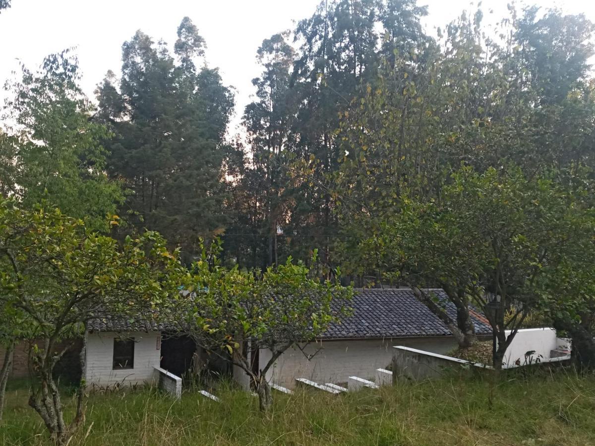 Hotel Quinta Los Eucaliptos Quito Zewnętrze zdjęcie